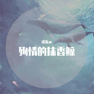 XXⅩ名人HD苏菲玛索
